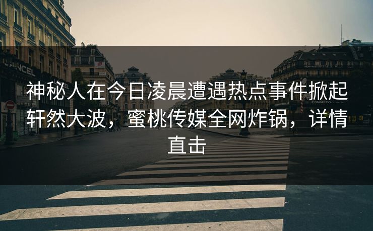 神秘人在今日凌晨遭遇热点事件掀起轩然大波，蜜桃传媒全网炸锅，详情直击