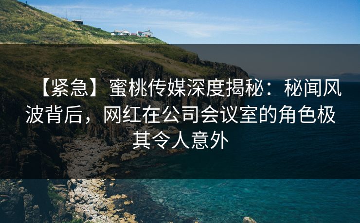 【紧急】蜜桃传媒深度揭秘:秘闻风波背后,网红在公司会议室的角色极其令人意外
