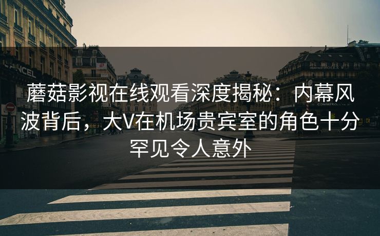 蘑菇影视在线观看深度揭秘：内幕风波背后，大V在机场贵宾室的角色十分罕见令人意外
