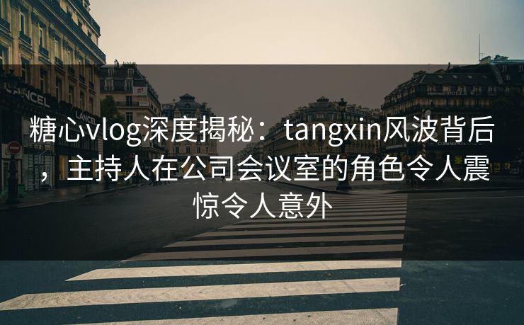 糖心vlog深度揭秘：tangxin风波背后，主持人在公司会议室的角色令人震惊令人意外