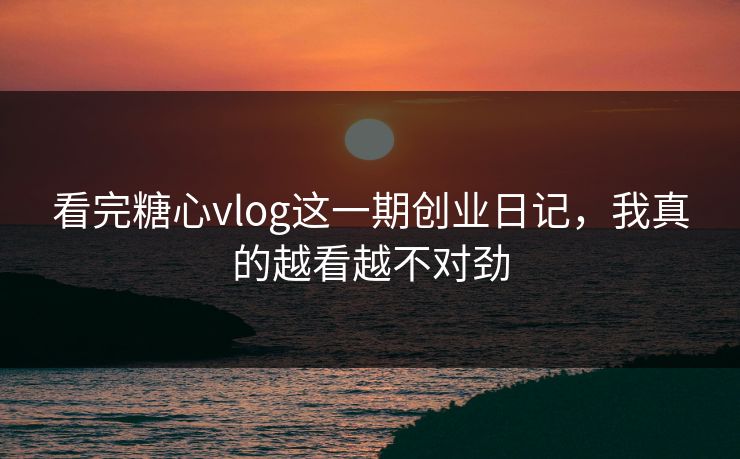 看完糖心vlog这一期创业日记，我真的越看越不对劲