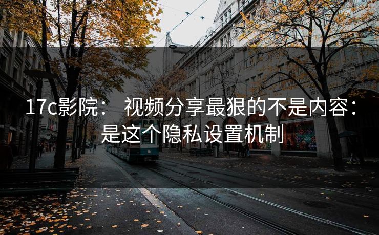 17c影院: 视频分享最狠的不是内容: 是这个隐私设置机制